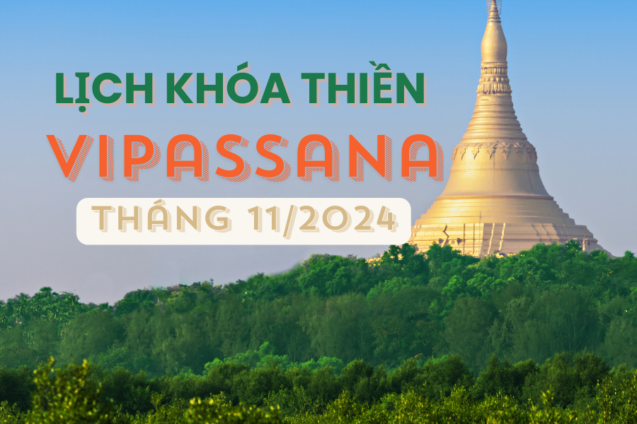 Lịch khóa thiền Vipassana T11/2024